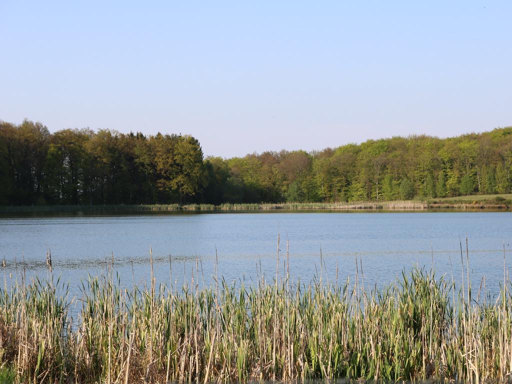 Haus Am Wanderweg * Niederdürenbach